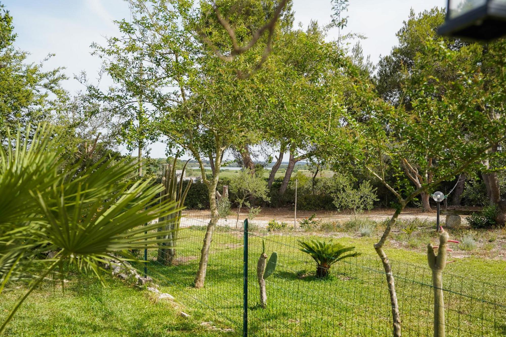 Casa Vacanza Russo Fernando 阿利米尼 外观 照片